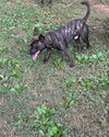 Major Payne - Photo 4