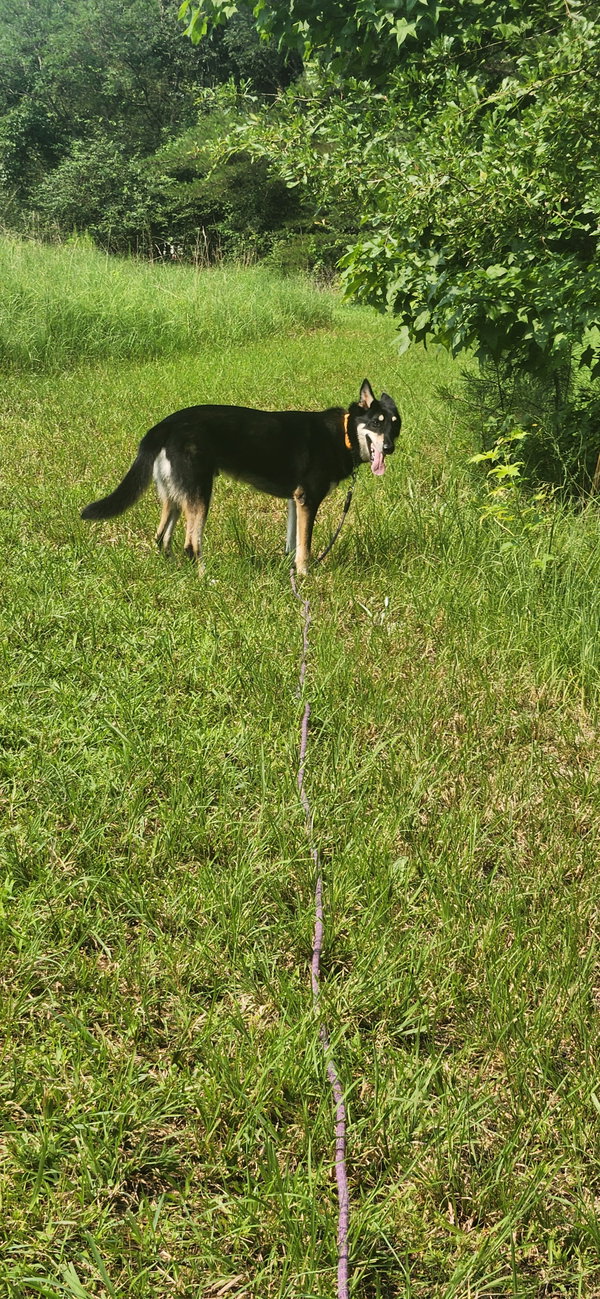 Ralphie/Max