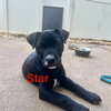 Star - Photo 2