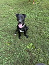 Star - Photo 3