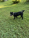 Star - Photo 5