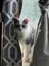 Sabrina - Photo 3