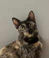 Betty Lou - Photo 3