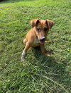 Sandy - Photo 5