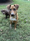 Sandy - Photo 1