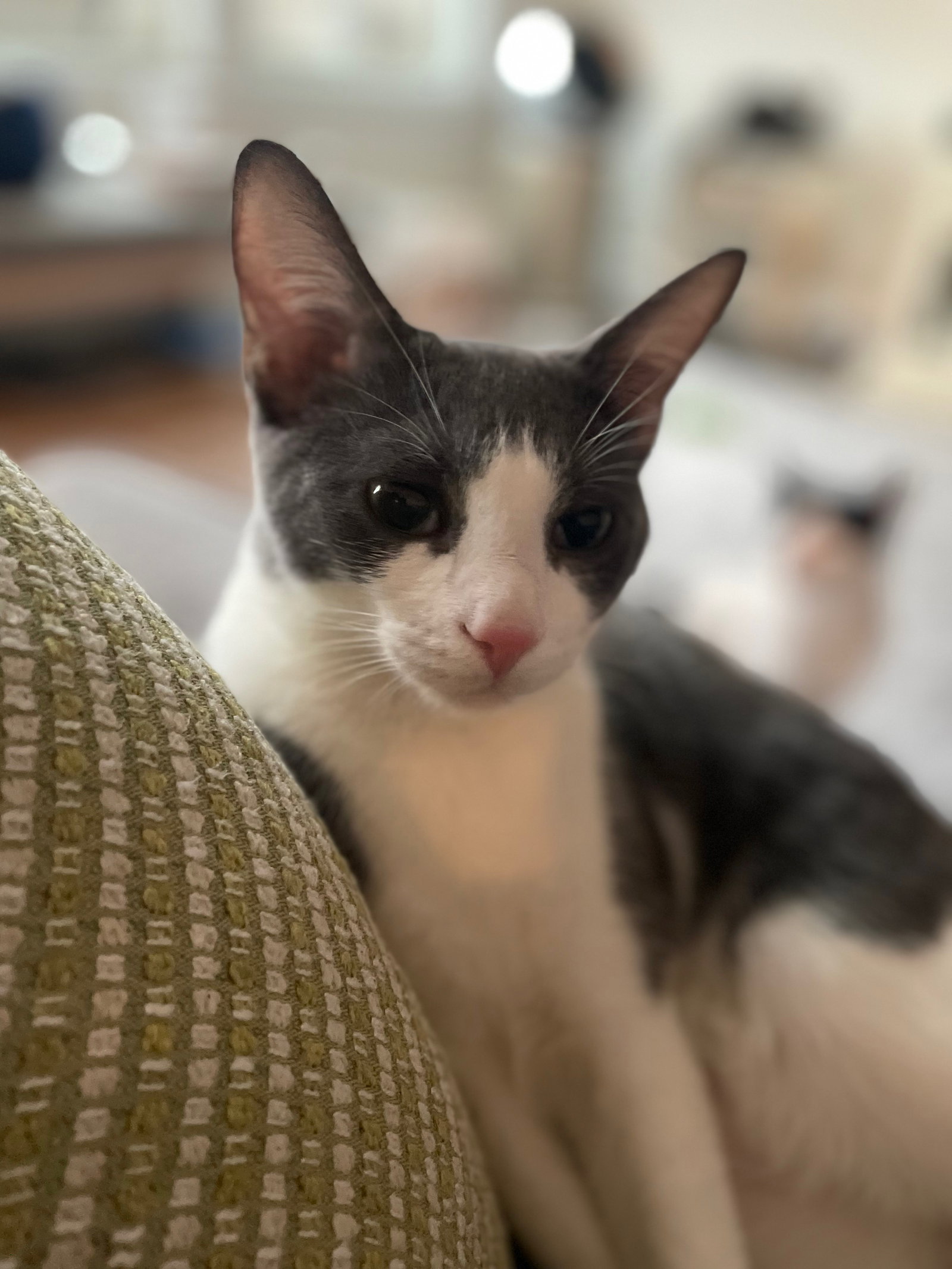 Gunther