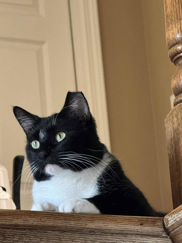 Benny