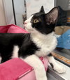 Link - Photo 3