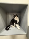 Link - Photo 5