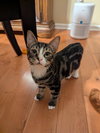 Nelson - Photo 3