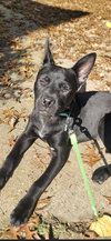 Chex - Photo 1