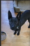 Chex - Photo 3
