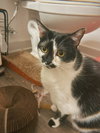 Kaia - Photo 1