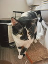Kaia - Photo 2