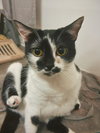 Kaia - Photo 4