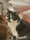 Kaia - Photo 5