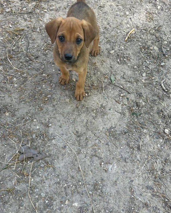 Ellie