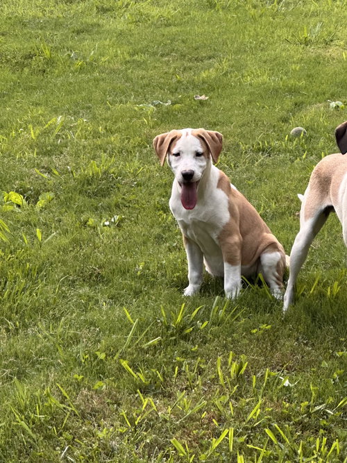 Delilah photo 2