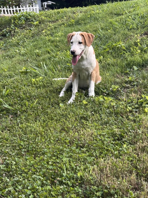 Delilah photo 3
