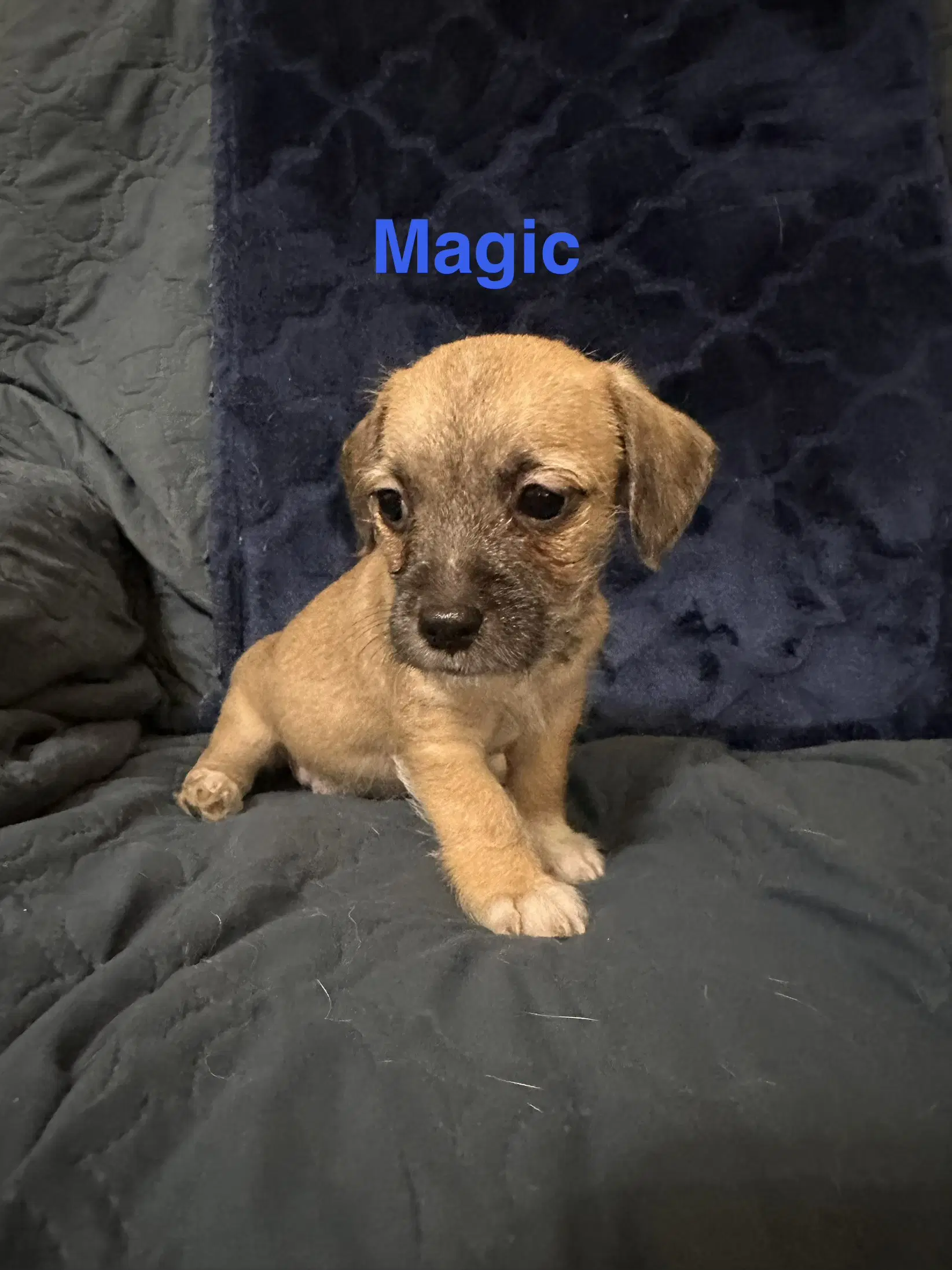 Magic image 2