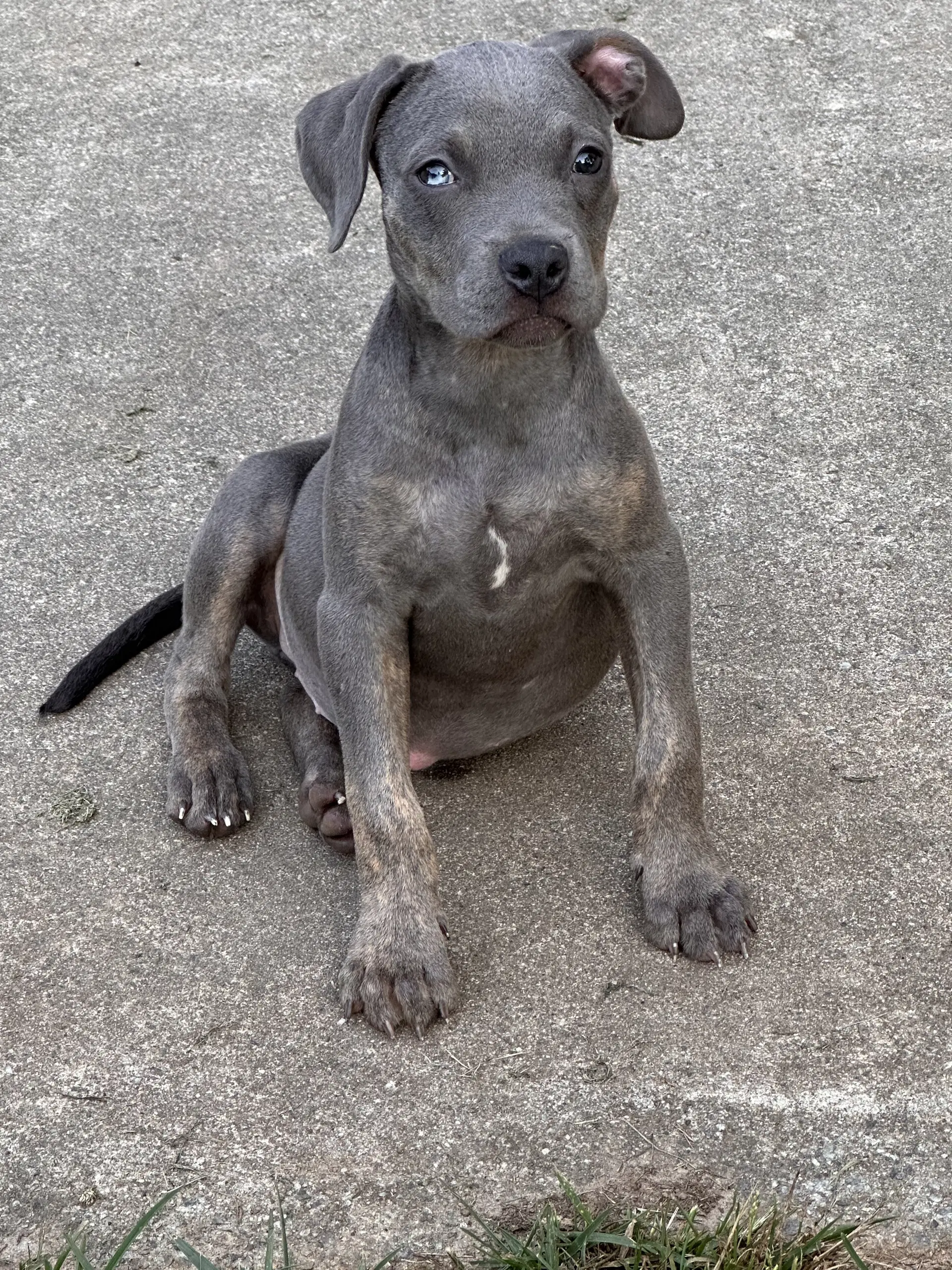 Myla image 2