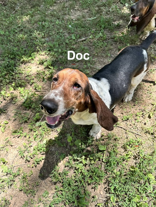 Doc photo 4
