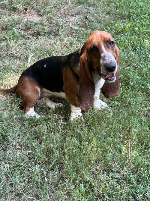Dora photo 2