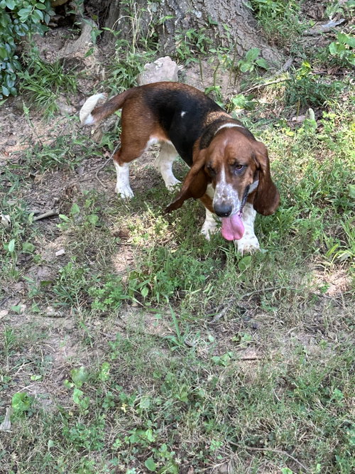 Dora photo 4