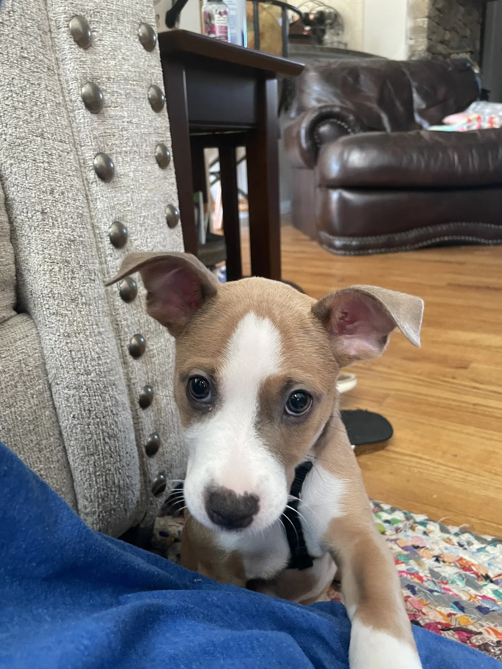 Charlie - Unknown