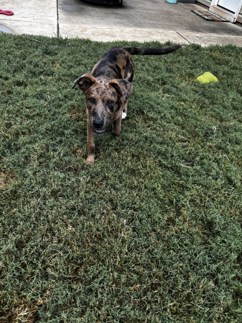Jax photo 4