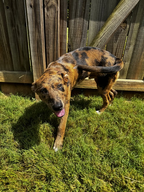 Jax photo 5
