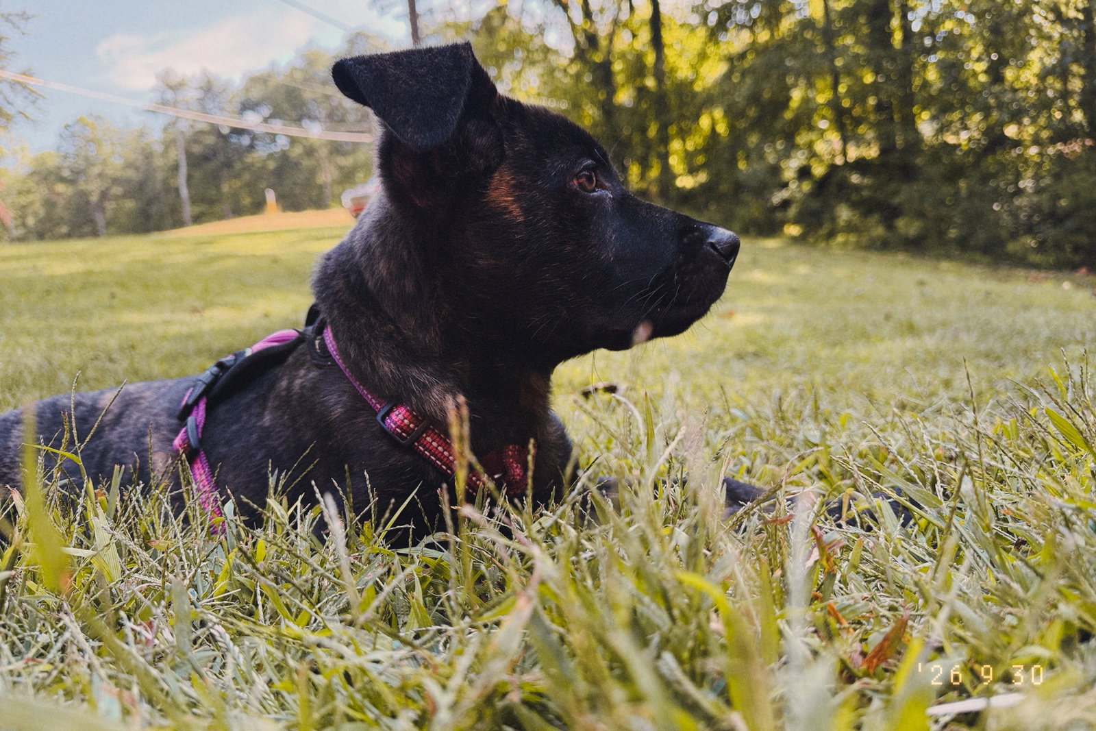 Enid, photo 4