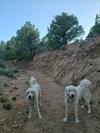 Coco - Photo 5
