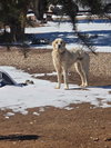 Coco - Photo 7