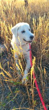 Coco - Photo 1