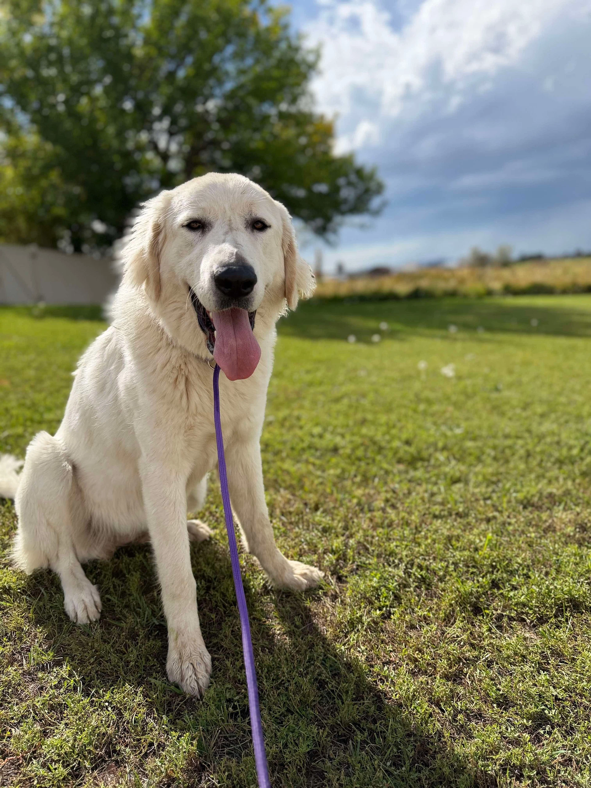 Ellie