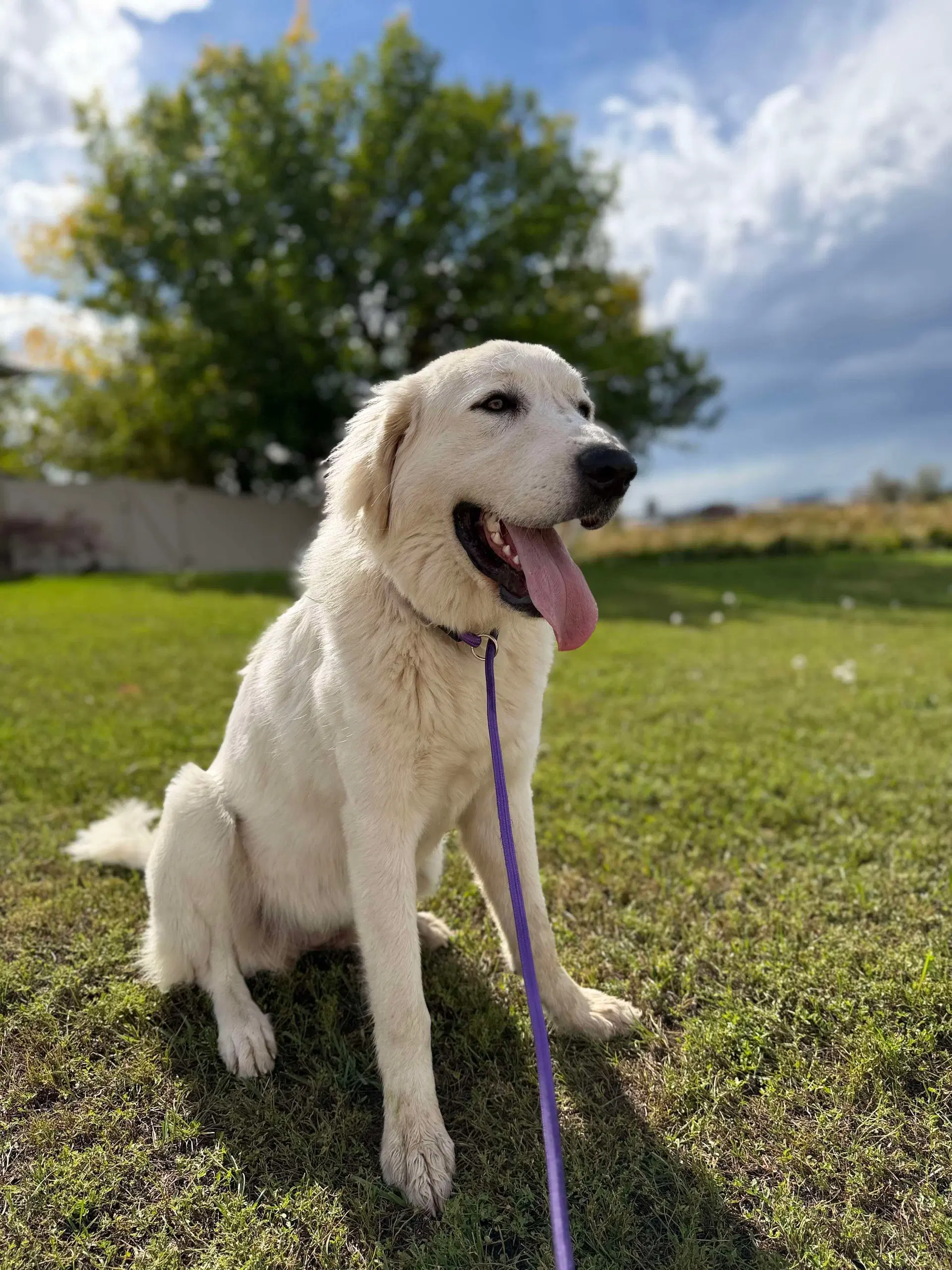 Ellie image 2