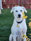 Noel - Photo 2