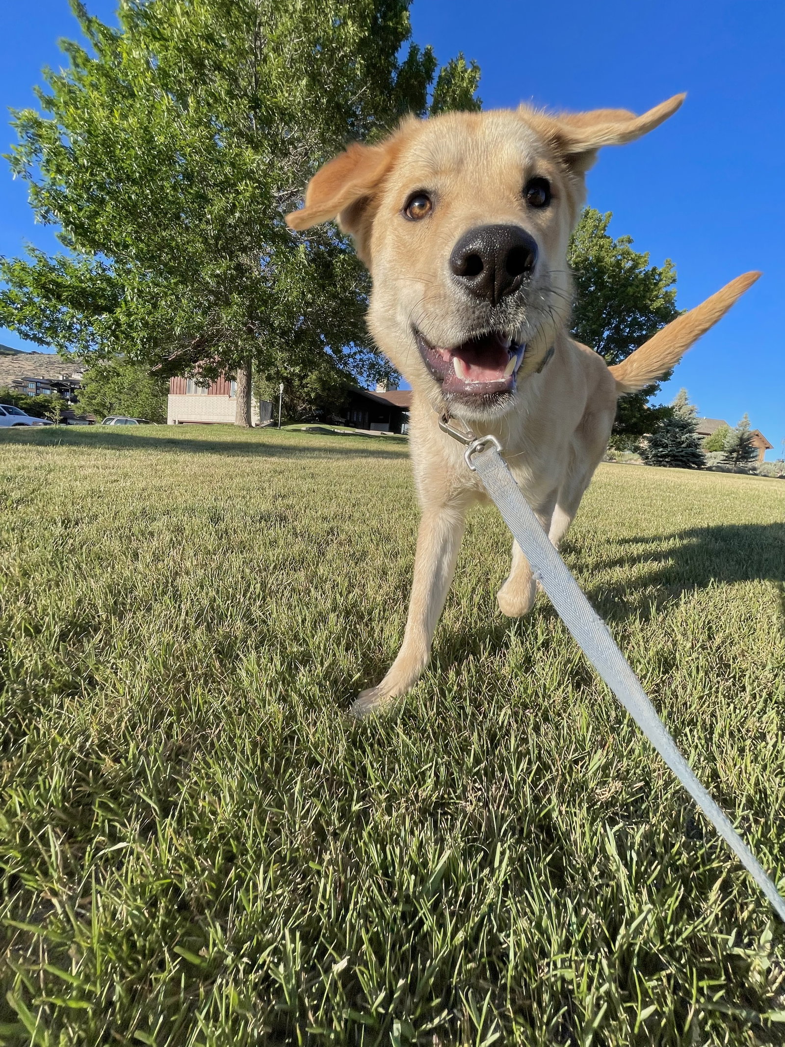 Ernie, photo 10
