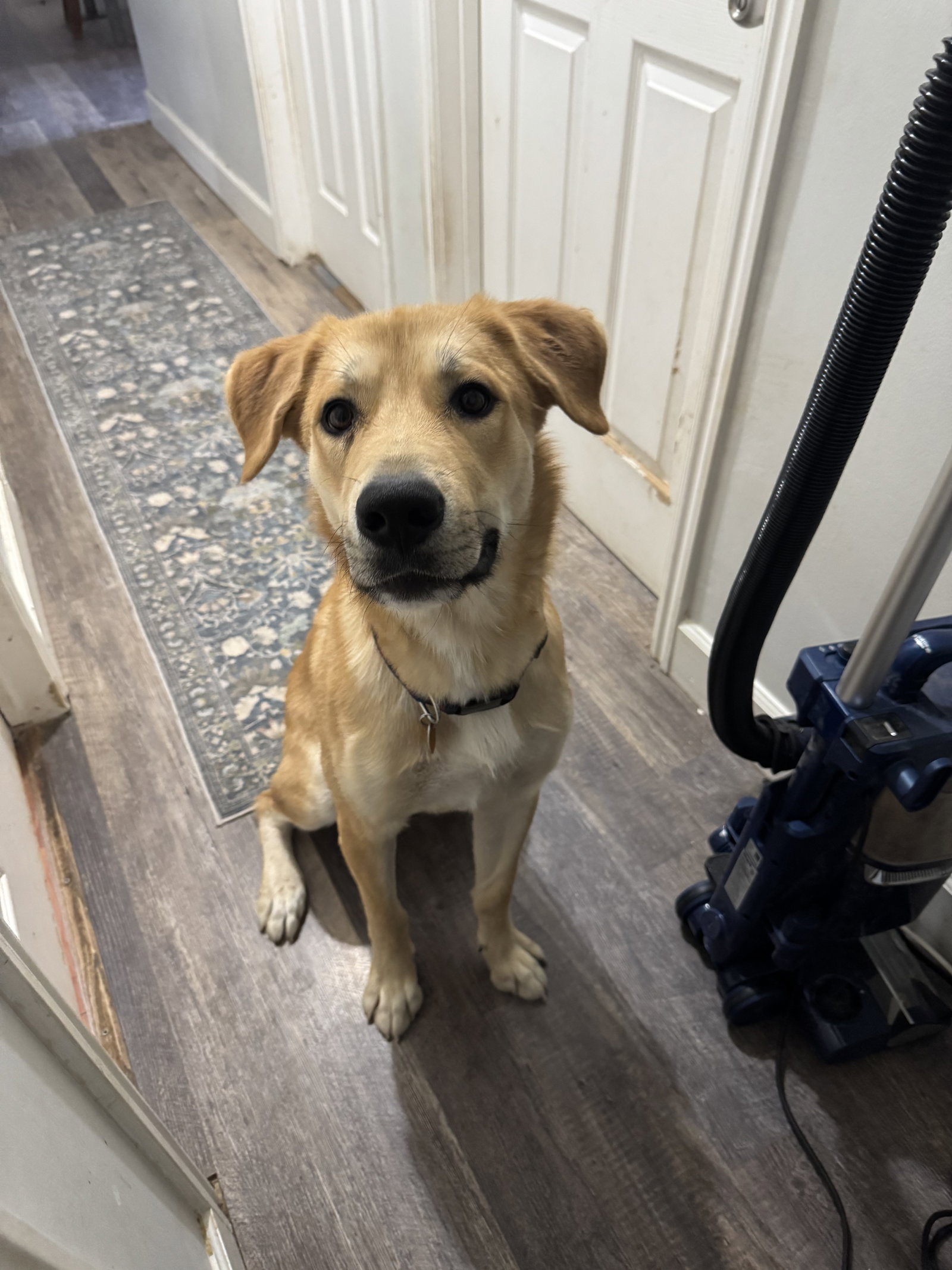 Ernie, photo 8