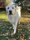 Maggie - Photo 1