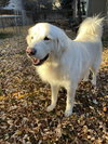 Maggie - Photo 2