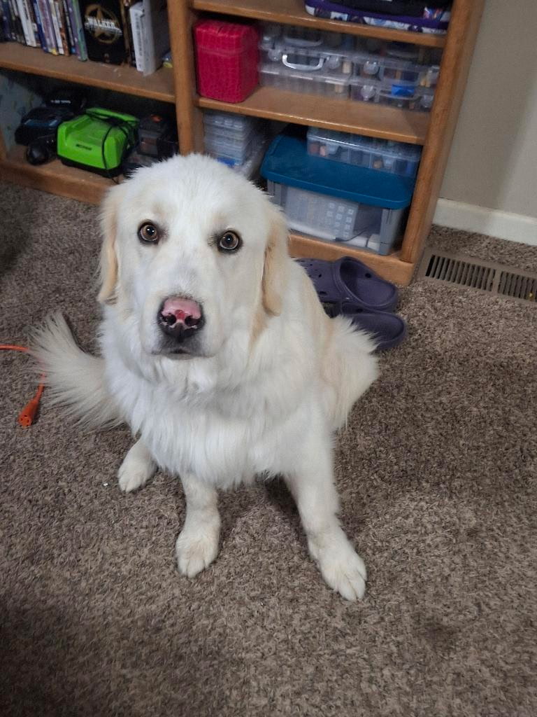 Stryker