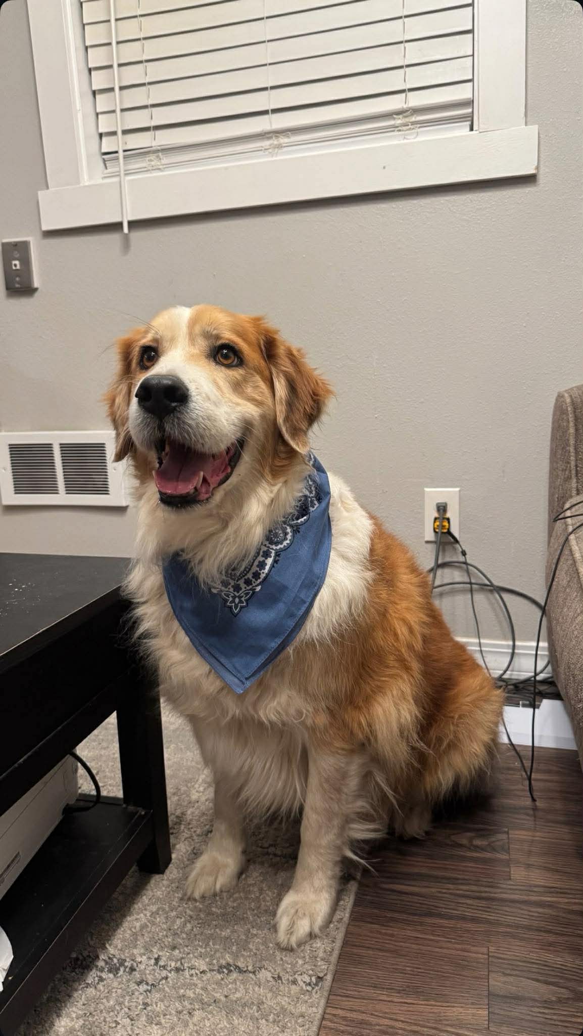 Finley