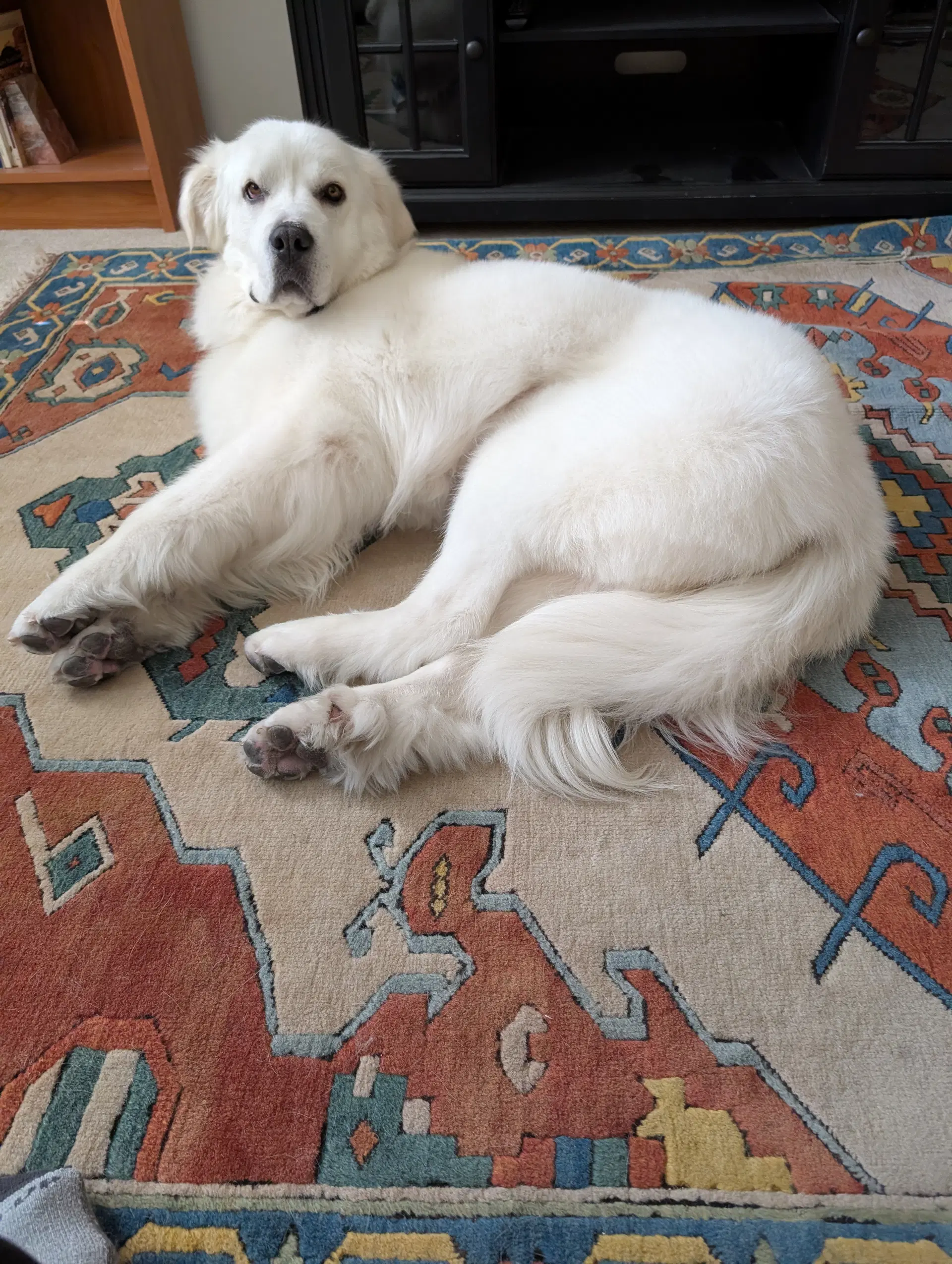 Miss Lucy image 2