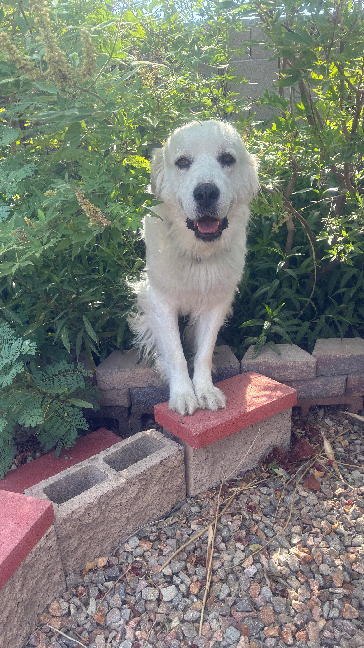 Miss Lucy, photo 8