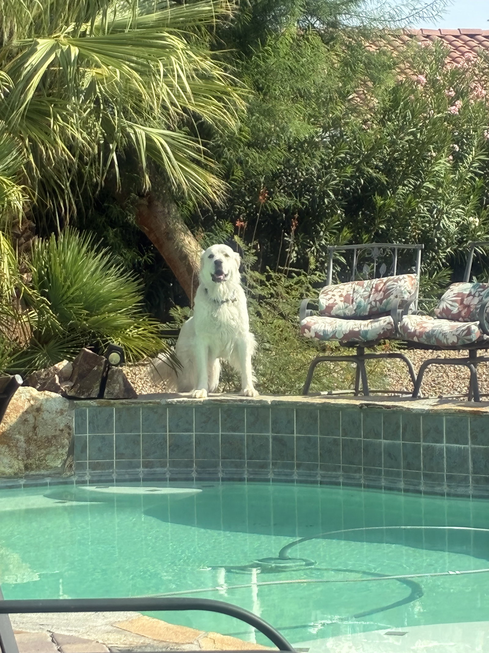 Miss Lucy, photo 9