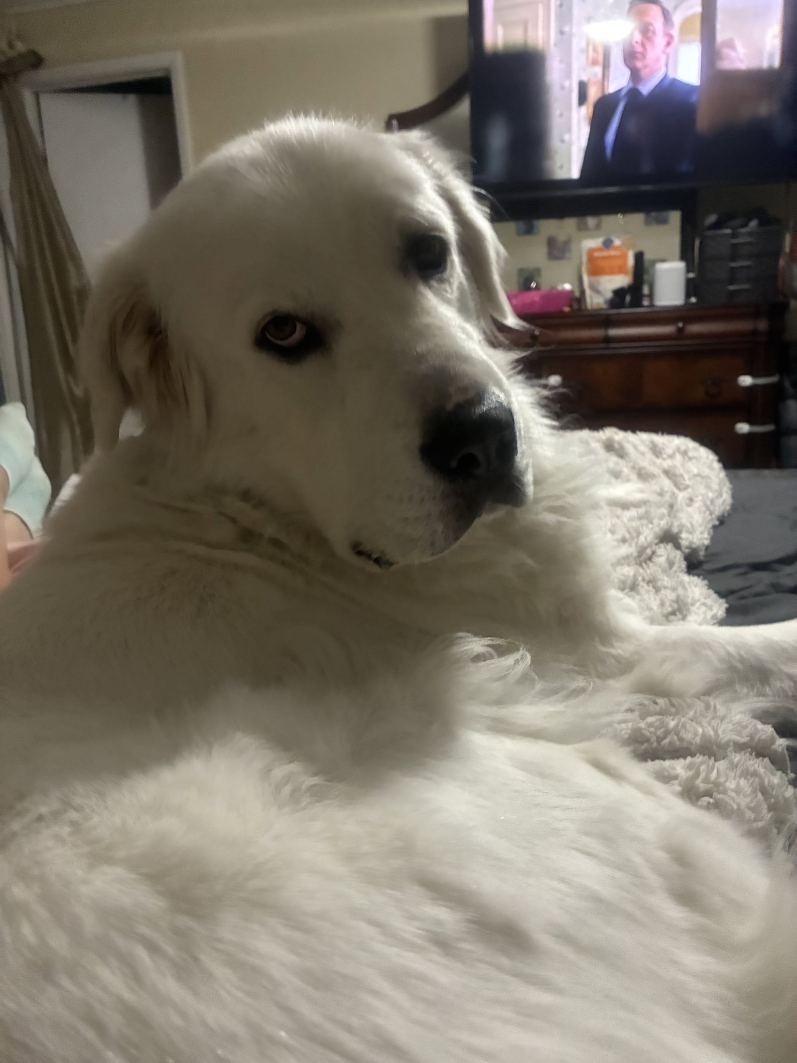 Miss Lucy, photo 10