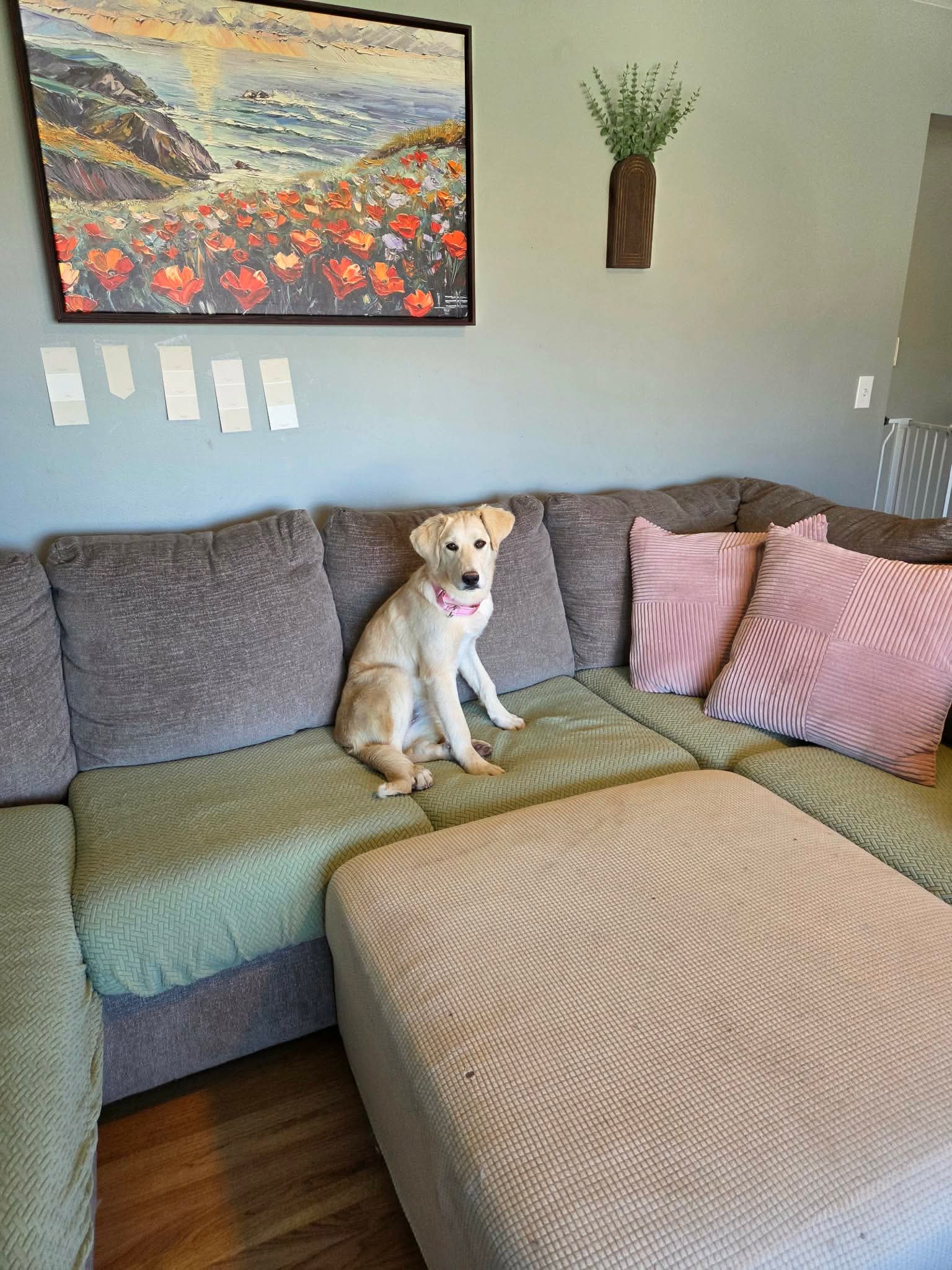 Ambrosia, photo 9