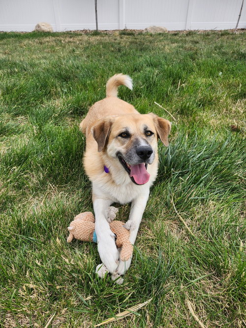 Cinnamon Sr photo 2
